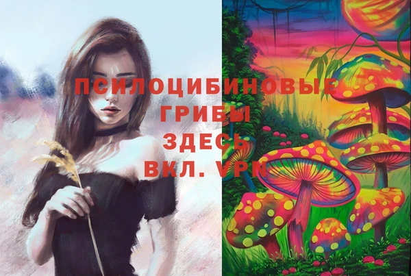 спиды Балахна