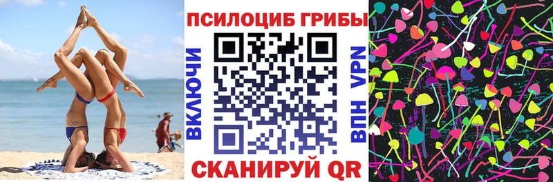 Галлюциногенные грибы Psilocybe  Саянск 